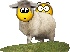 sheep-bonk.gif