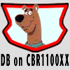 db-avatar.gif