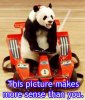 panda-more-sense-than-you.jpg